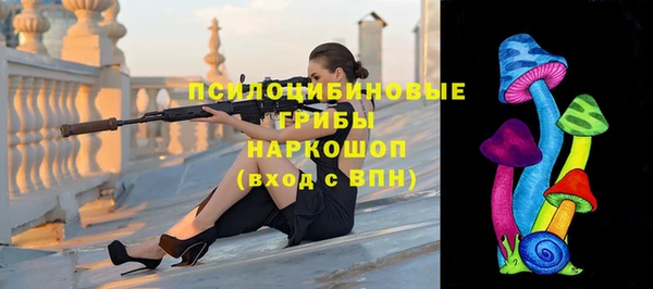 spice Абинск