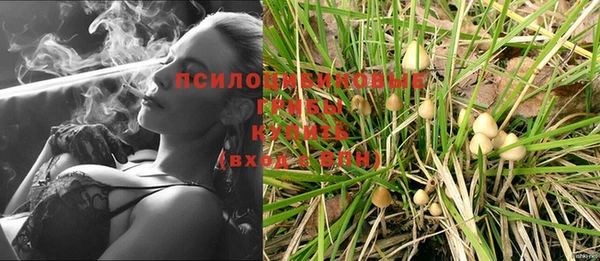прущие грибы Абдулино