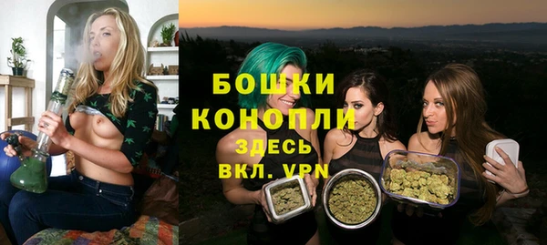 прущие грибы Абдулино