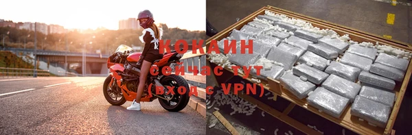 прущие грибы Абдулино