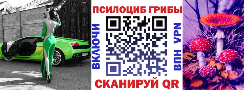 сколько стоит Урус-Мартан Псилоцибиновые грибы мухоморы