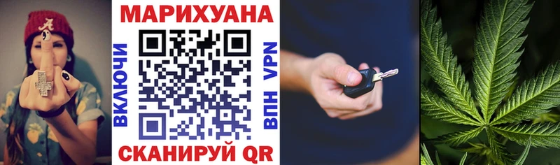 Бошки Шишки планчик  Урус-Мартан 